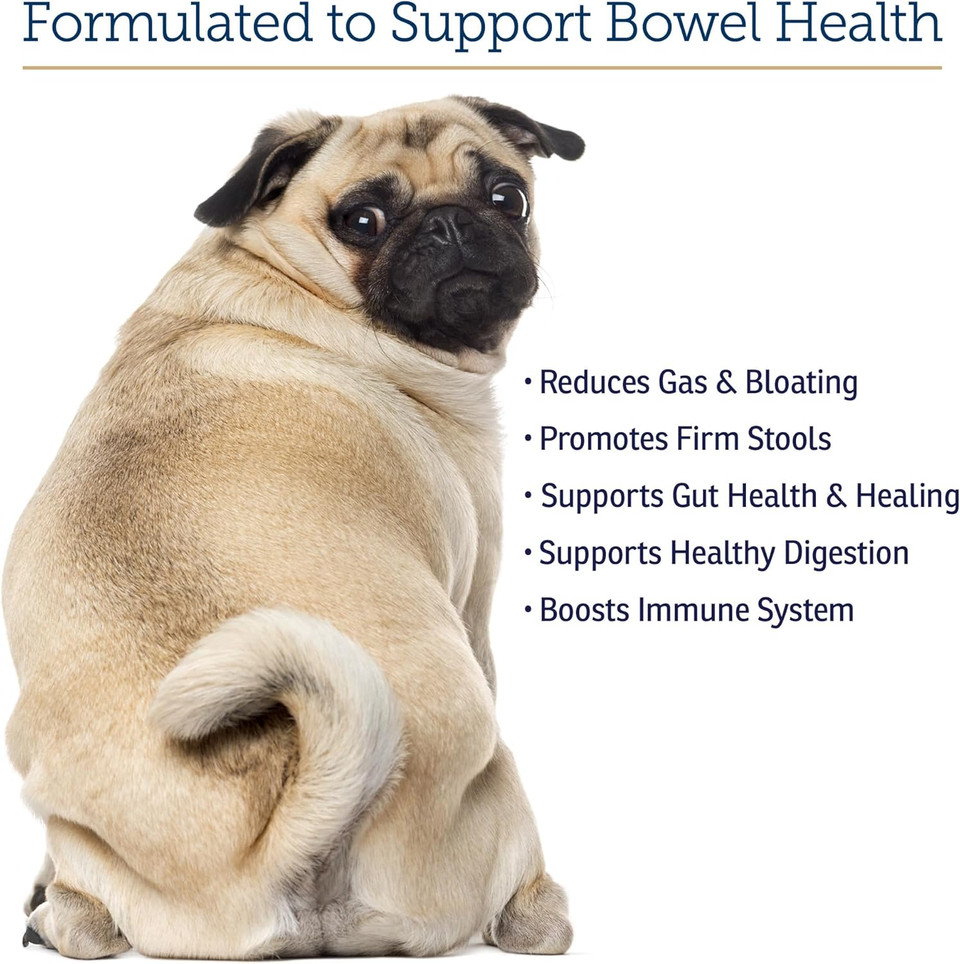 Rx Vitamins For Pets Nutrigest For Dogs & Cats - Helps Support Proper Bowel & Digestive Health - Veterinarian Formulated Probiotic - Powder 132G