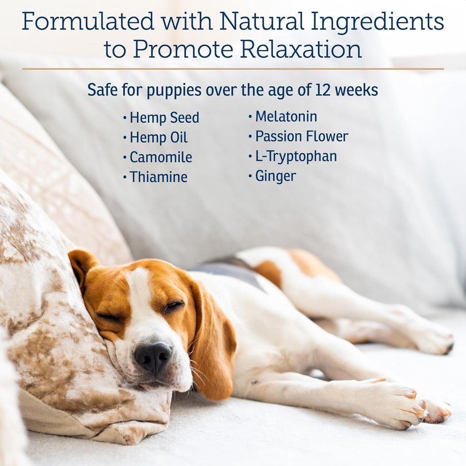 Rx Vitamins Nutricalm - Hemp Calming Chews For Dogs - Dog Calming Chews With Melatonin And Chamomile - Anxiety Relief Treats - Provides Relaxation & Separation Anxiety Relief For Dogs - 120 Capsules