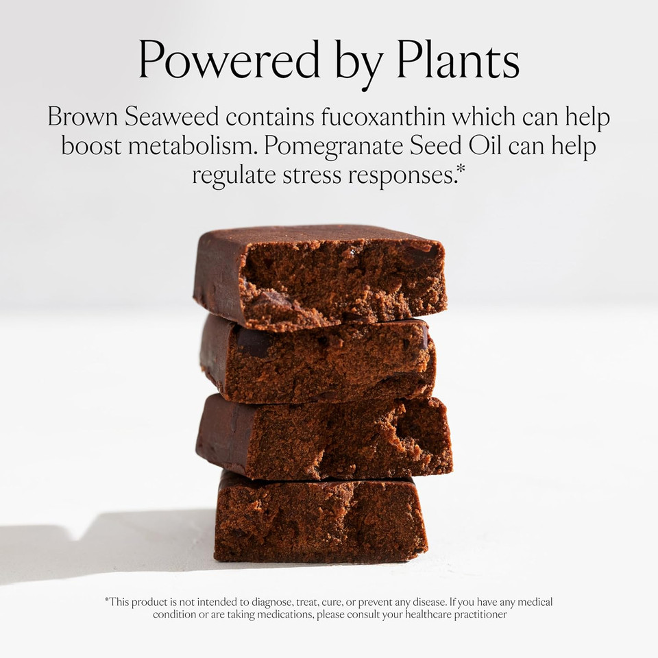 Sakara Metabolism Protein Super Bar - Sea-Salt Chocolate Protein Bar, Clean Protein Bars, 12G Plant Based Protein, Pre Post Workout Energy Bar