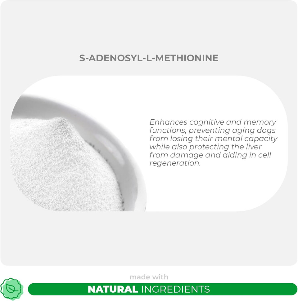 Same For Dogs - 90 Soft Chews - S-Adenosyl-L-Methionine - With Mct Oil For Better Absorption - Promotes Brain Health, Liver Support, And Cognitive Function