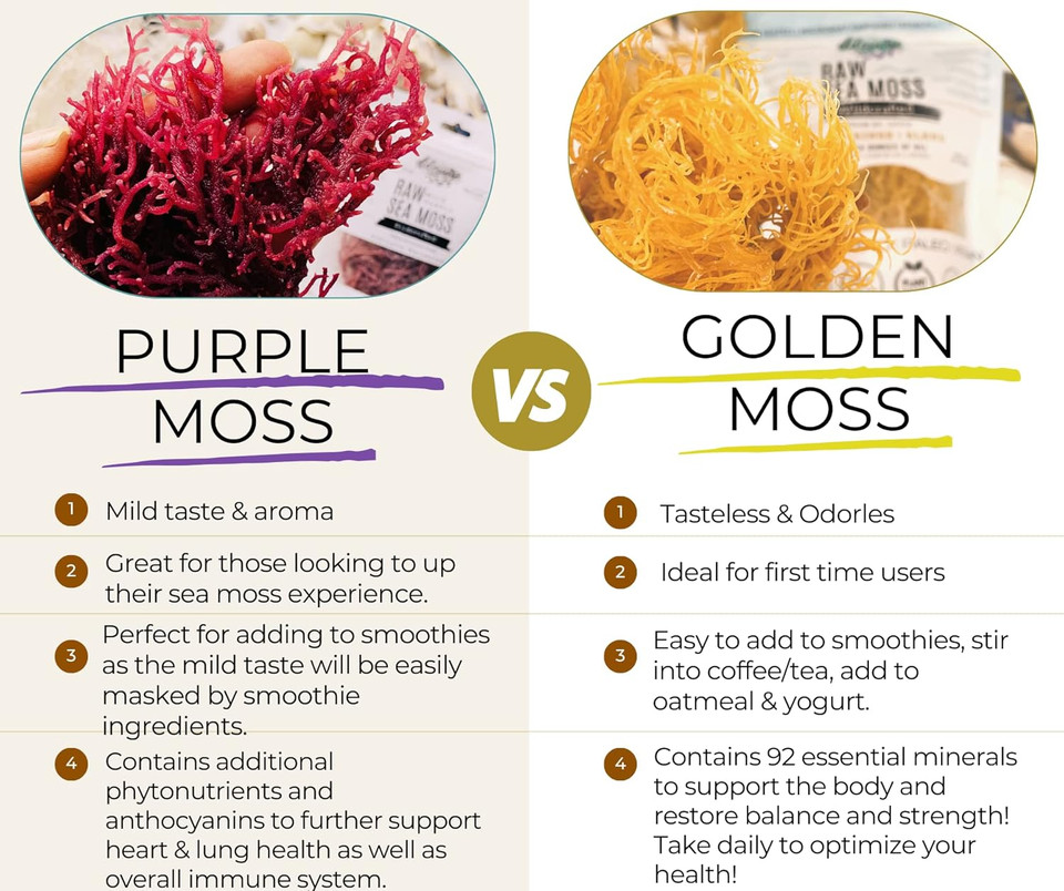 Sea Moss | Purple | Makes 24Oz Of Gel | Raw + Non Gmo | Sundried | Wildcrafted