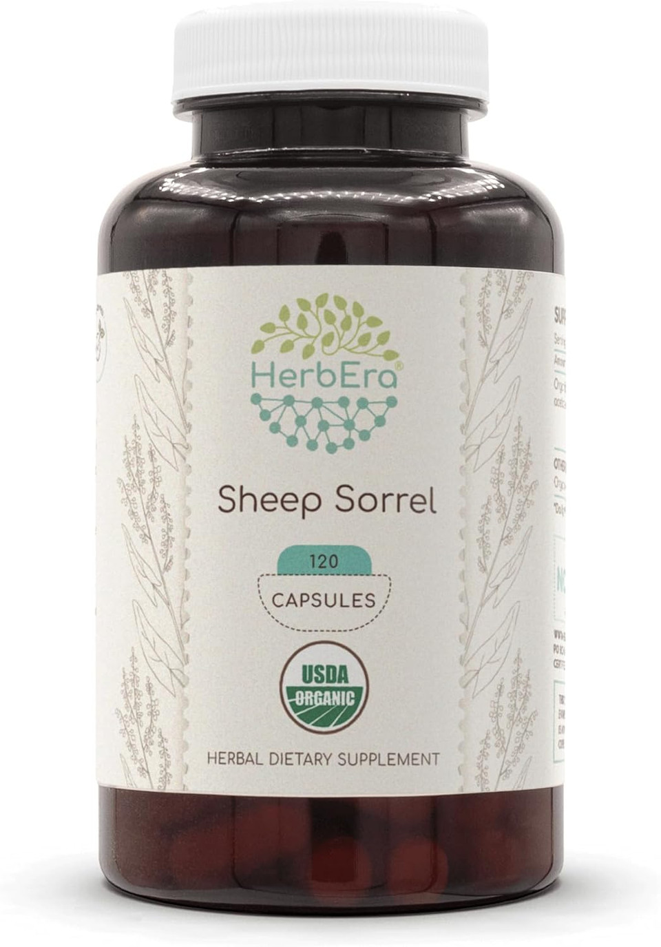 Sheep Sorrel 60 Capsules, 500 Mg, Concentrated Liquid Drops Natural Sheep Sorrel (Rumex Acetosella) Dried Herb (60 Capsules)
