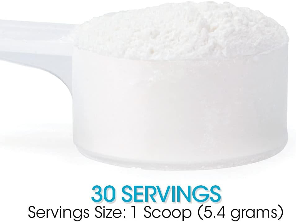 Silver Fern Gut Repair - Digestive Health Supplement Powder - L-Glutamine, Curcumin, Zinc & Ascorbic Acid (2 Tubs - 60 Servings)