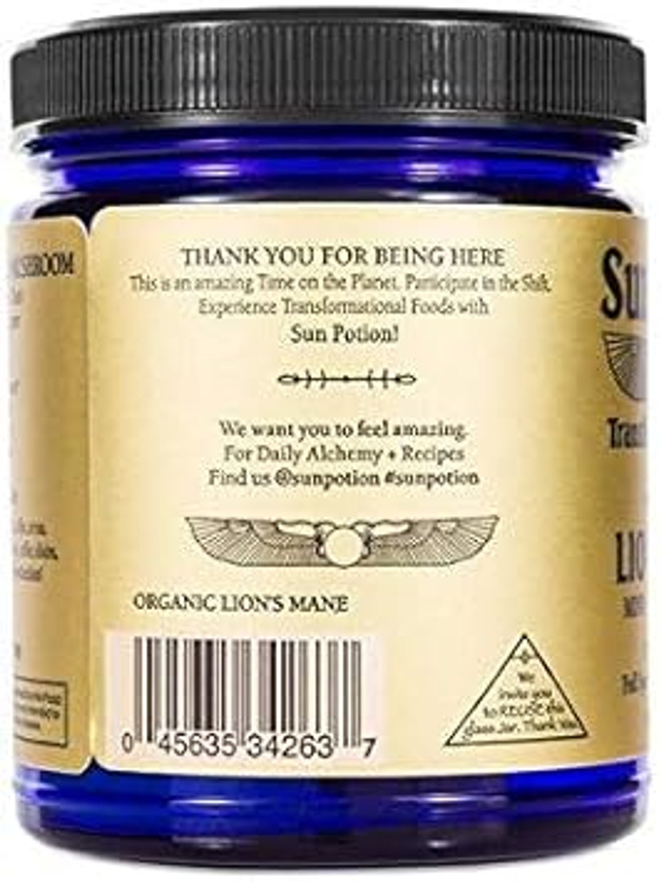 Sun Potion LionS Mane (Organic) - Mind Power Mushroom (100G)