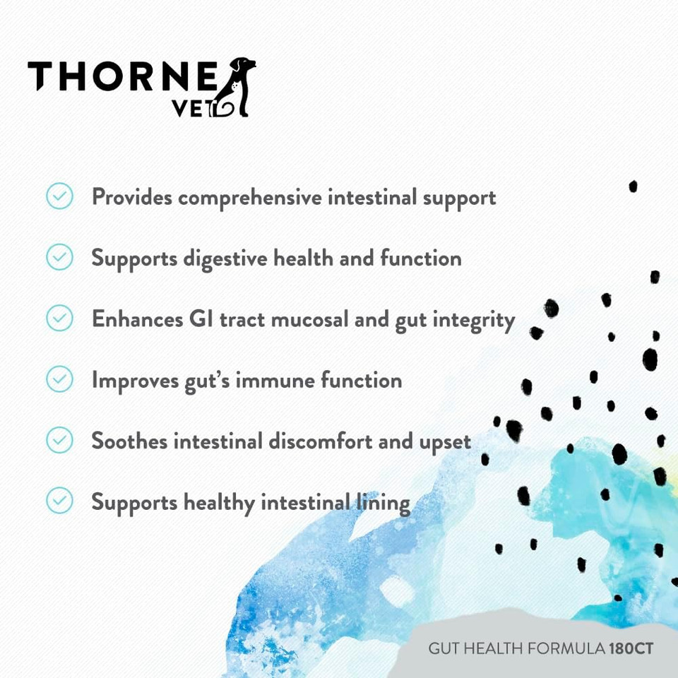 Thornevet Gut Health Formula  Gastrointestinal Support For Dogs, Cats & Horses, 180 Scoops