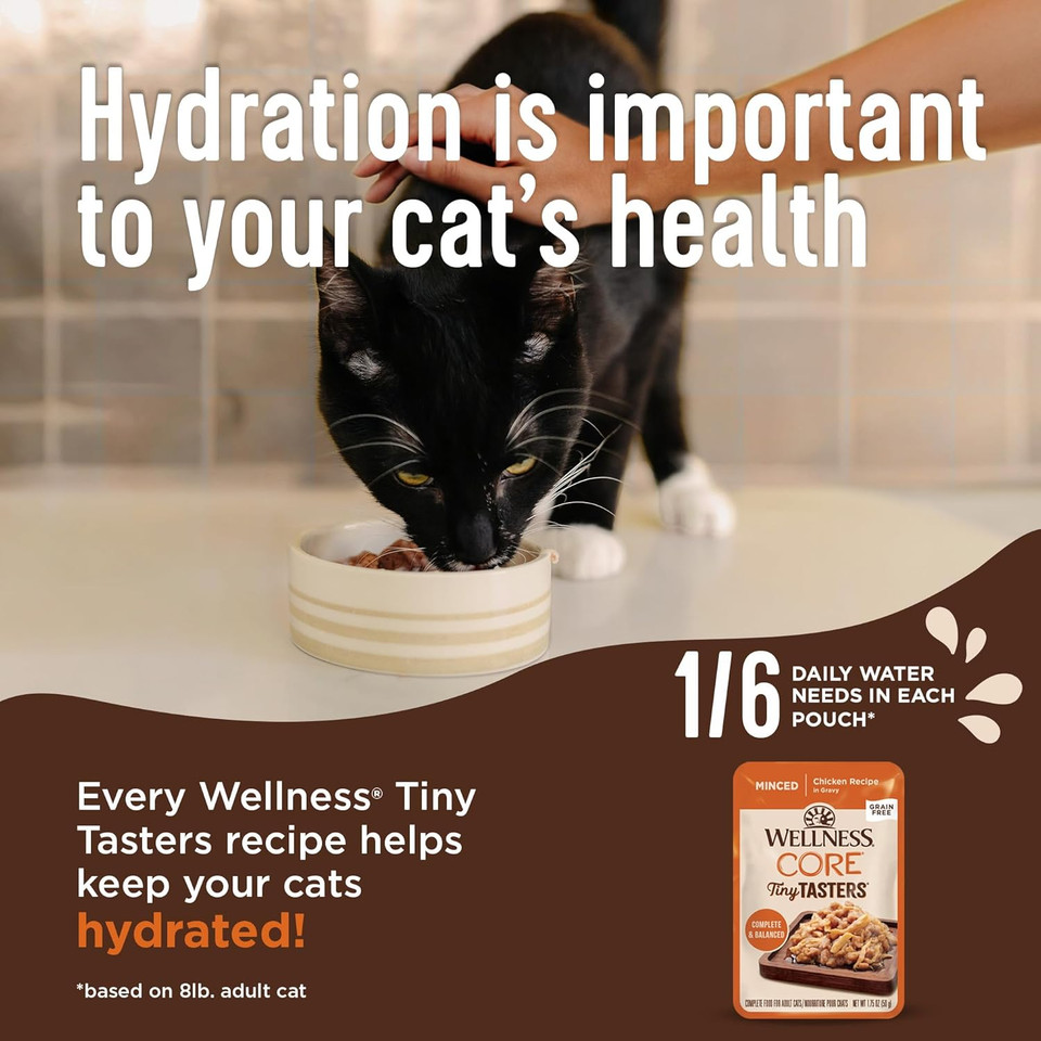 Wellness Core Tiny Tasters Pate Adult Wet Cat Food, Natural, Protein-Rich, Grain Free, 1.75-Ounce Pouch, 12 Pack, (Seafood Variety Pack)