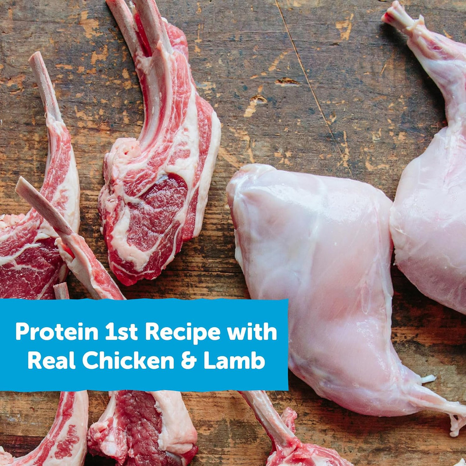 Wellness Rewarding Life Dog Treats, Training Treat, Grain Free, Soft Chicken & Lamb (6 Ounce Bag)