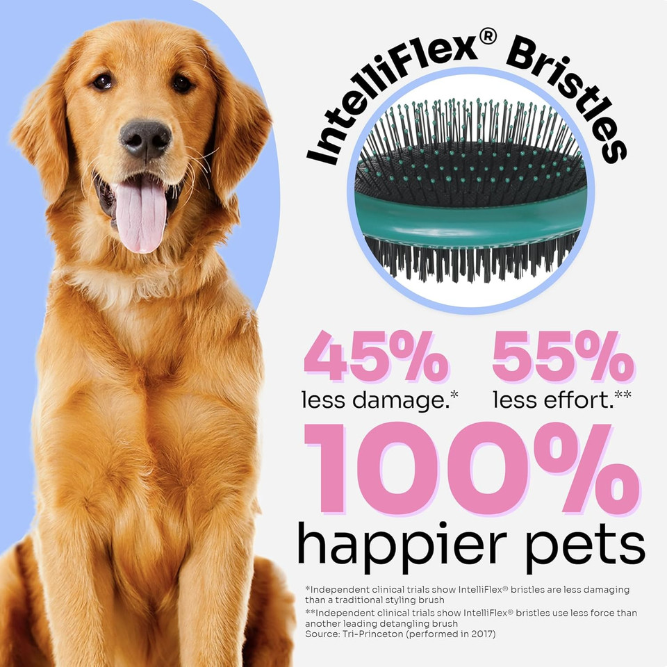 Wet Brush Ultimate Dual-Sided Detangling Brush - Ultra Soft Intelliflex Bristles, Removes Loose Hair & Dirt For Dogs, Cats, Rabbits - Teal