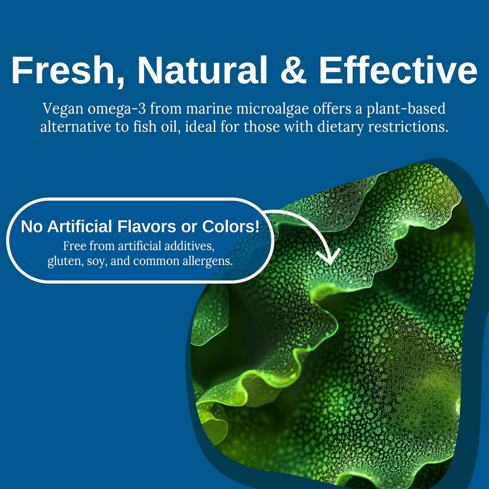 Xtendlife Vegan Omega 3 Dha & Epa - Potent Plant-Based Supplement From Marine Algae - Perfect For Vegans And Vegetarians - 30 Day Supply