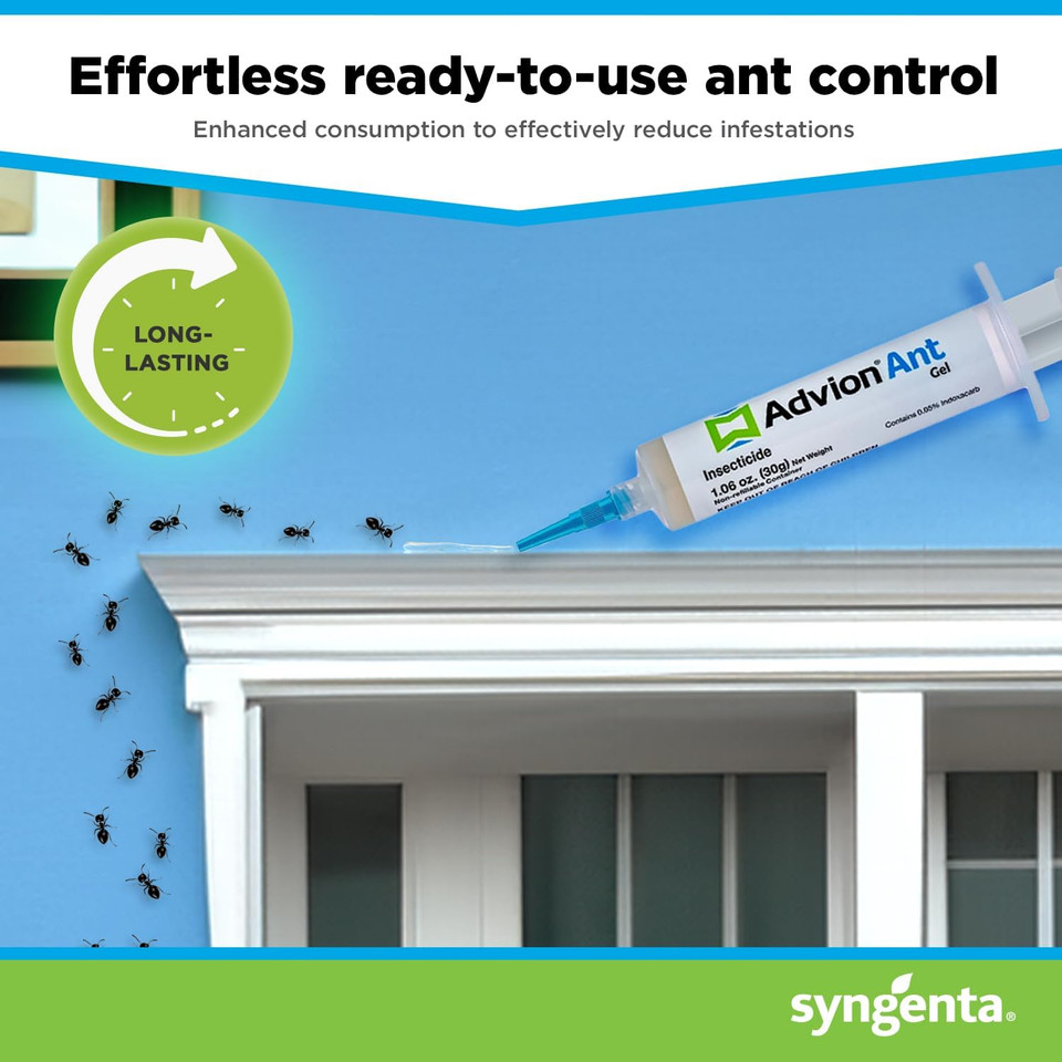Syngenta 68078 Advion Singular Tube Ant Gel Lure, 30g
