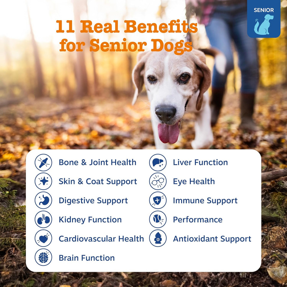 Zesty Paws Senior Dog Multivitamin Treats - Glucosamine for Dogs + Digestive Enzymes & Probiotics - Grain Free Dog Vitamins and Supplements for Skin & Coat + Immune Health Chicken - Advanced - 90ct