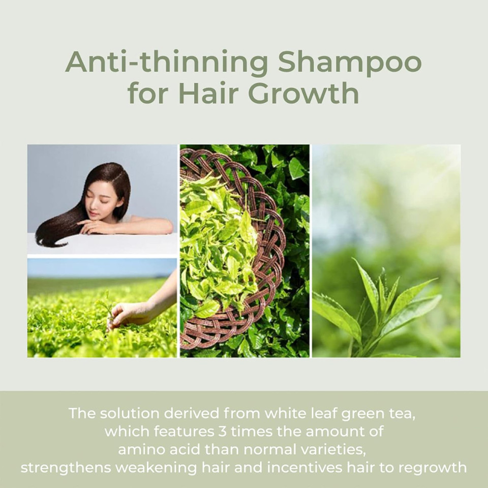 Amos Professional The Green Tea Scalp Essential Tonic 2.7 Oz (80Ml) | Anti-Hair Loss Intensive Nourishment Treatment | Korean Hair Salon Brandrenewal