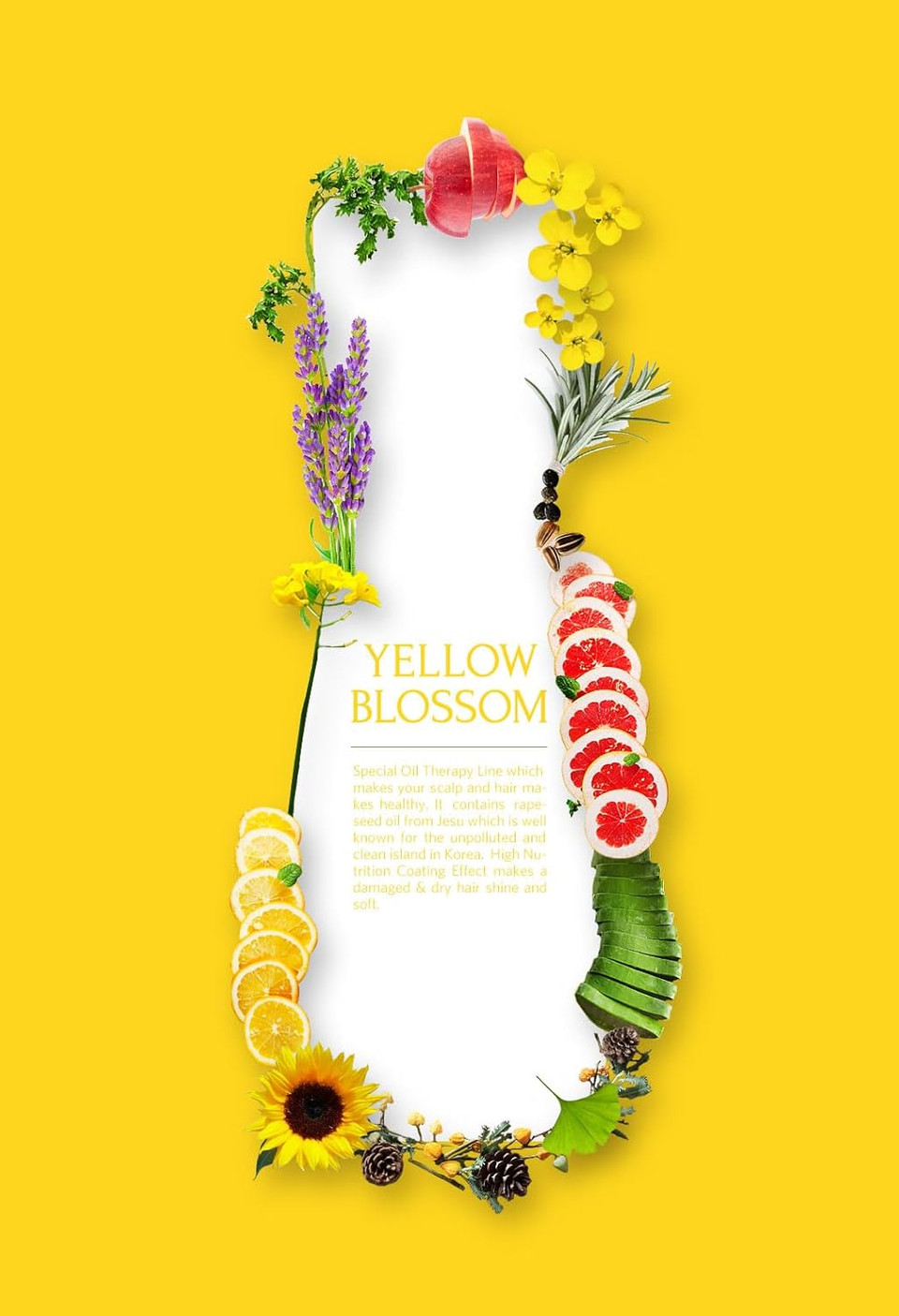 Daeng Gi Meo Ri- Yellow Blossom Hair Loss Care Treatment, Anti Hair Loss, Hair Shine, Scalp Nourishing And Moisturizing, 300Ml