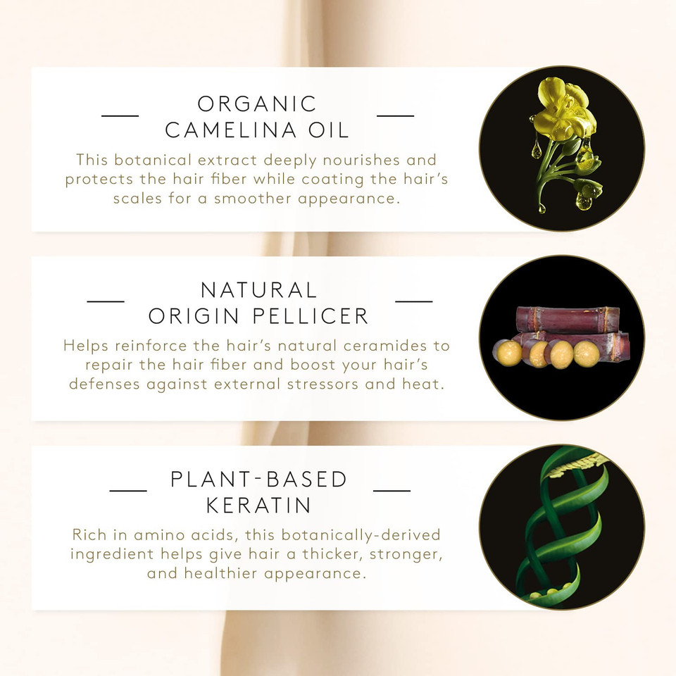 Rene Furterer Absolue Keratine Repairing Beauty Cream For Damaged, Over-Processed Hair3.3 Fl Oz (Pack Of 1)