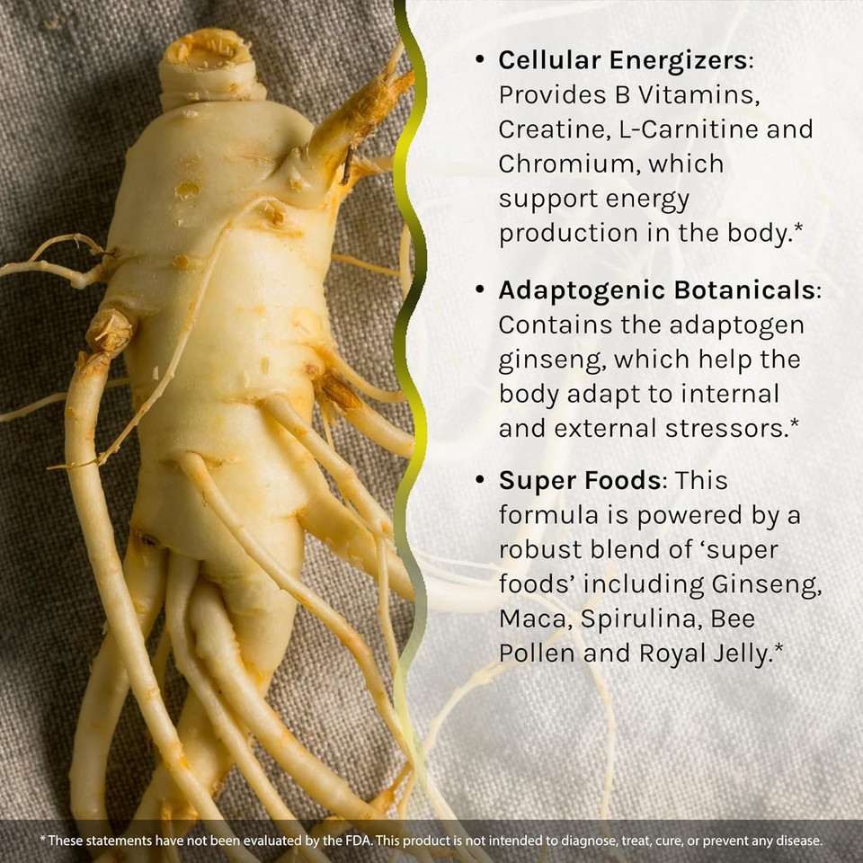 Irwin Naturals Triple-Boost Caffeine-Free Energy - Lasting, Jitter-Free Focus - Brain Boosting Nootropic - 75 Liquid Softgels