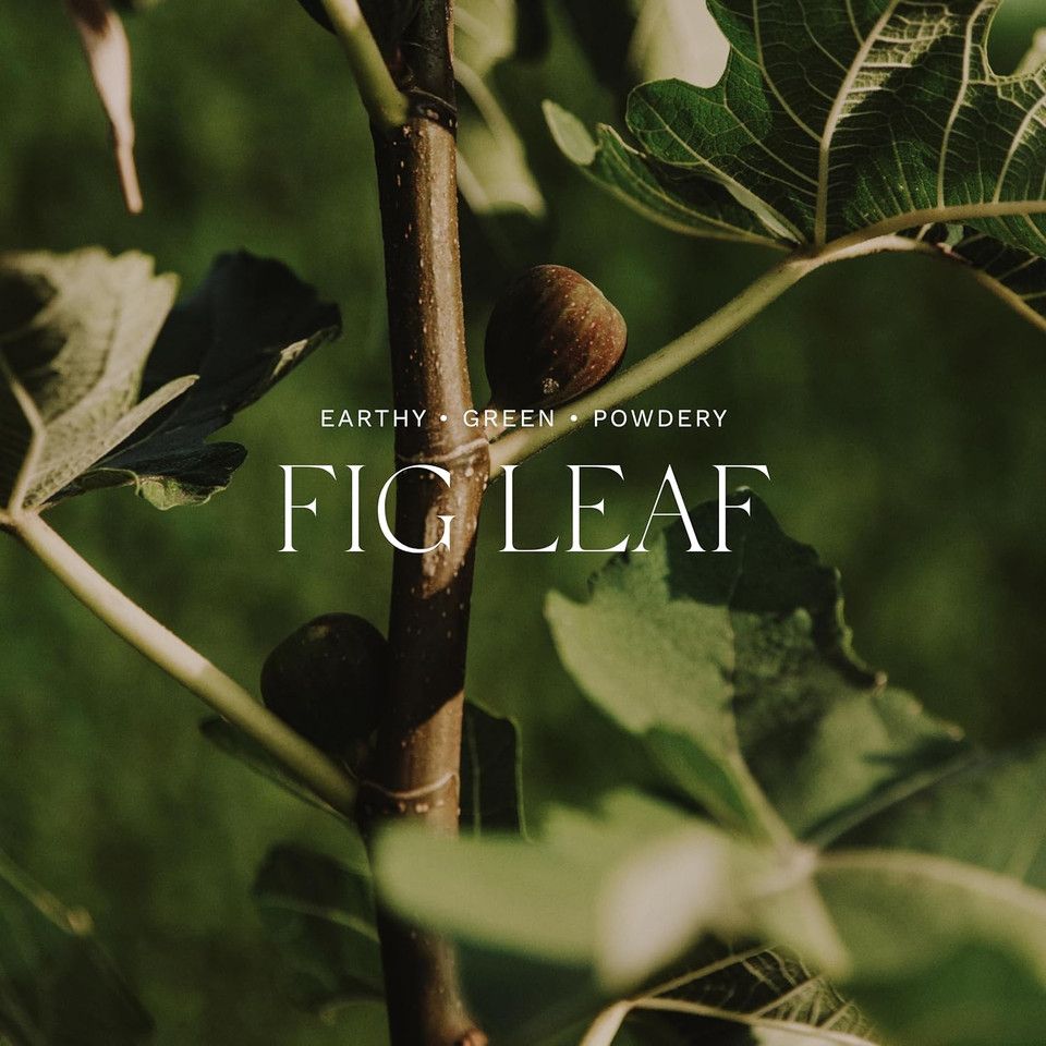 Antica Farmacista Home Ambiance Diffuser, 8.45 Fl Oz, Fig Leaf