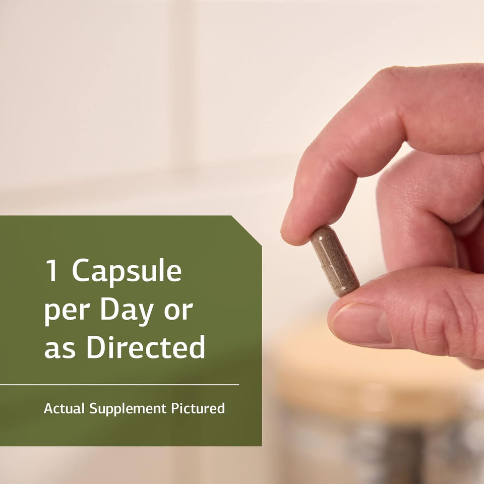 Standard Process Opc Synergy - Whole Foods Cognitive Health, Brain Health And Brain Support, Eye Support And Eye Health With Bilberry, Grape Seed Extract, Green Tea Powder, And More - 40 Capsules