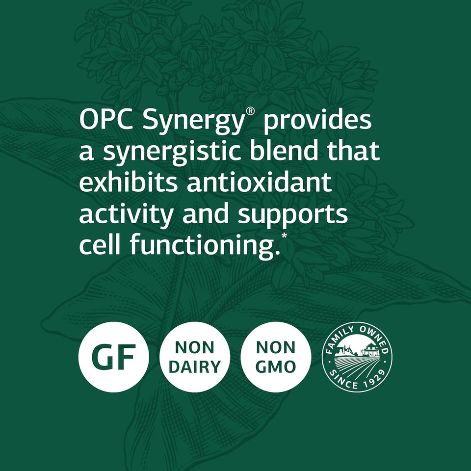 Standard Process Opc Synergy - Whole Foods Cognitive Health, Brain Health And Brain Support, Eye Support And Eye Health With Bilberry, Grape Seed Extract, Green Tea Powder, And More - 40 Capsules