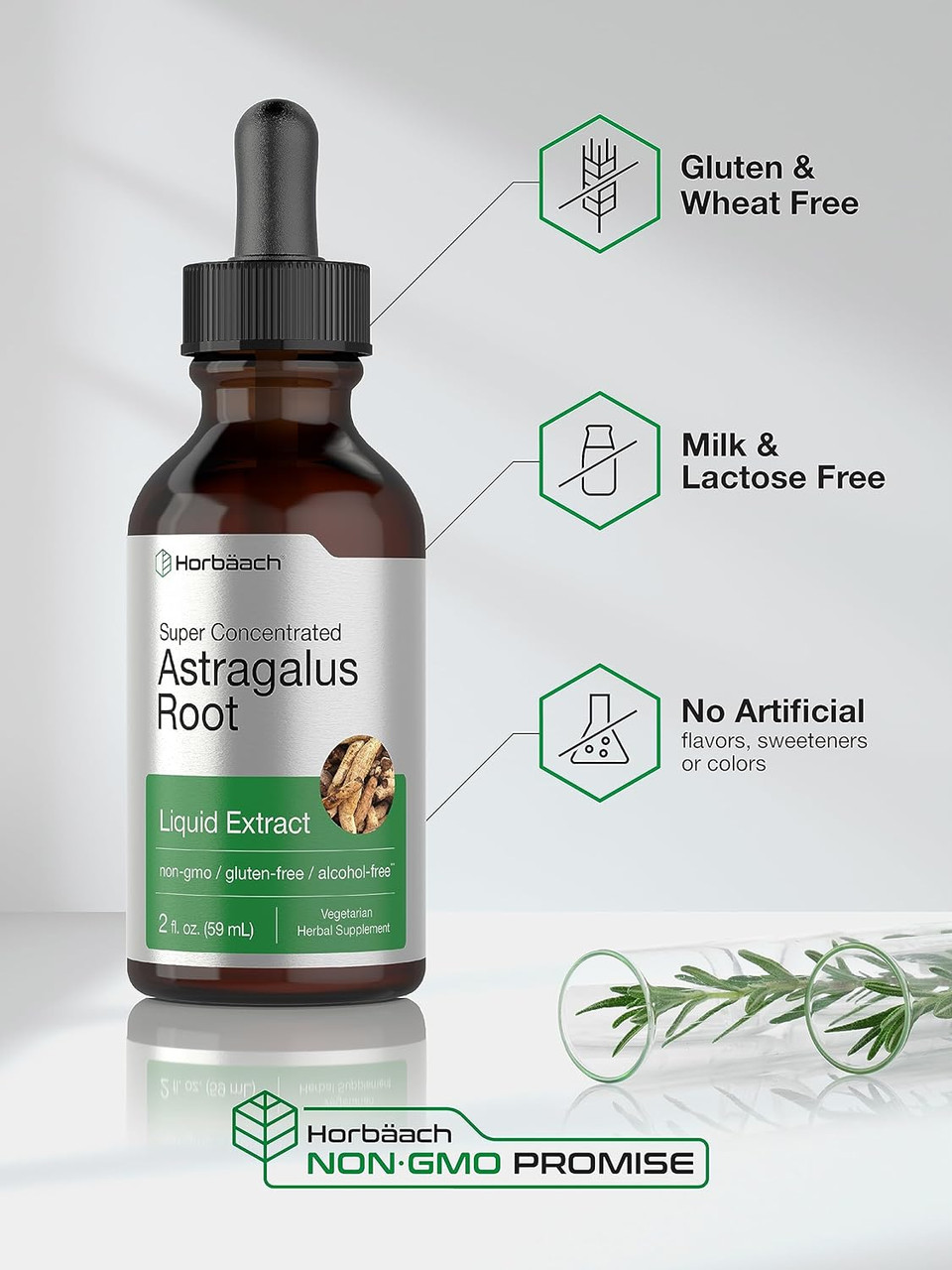 Astragalus Root Extract Liquid | 2 fl oz | Alcohol Free Tincture | Super Concentrated | Vegetarian, Non-GMO, Gluten Free | by Horbaach