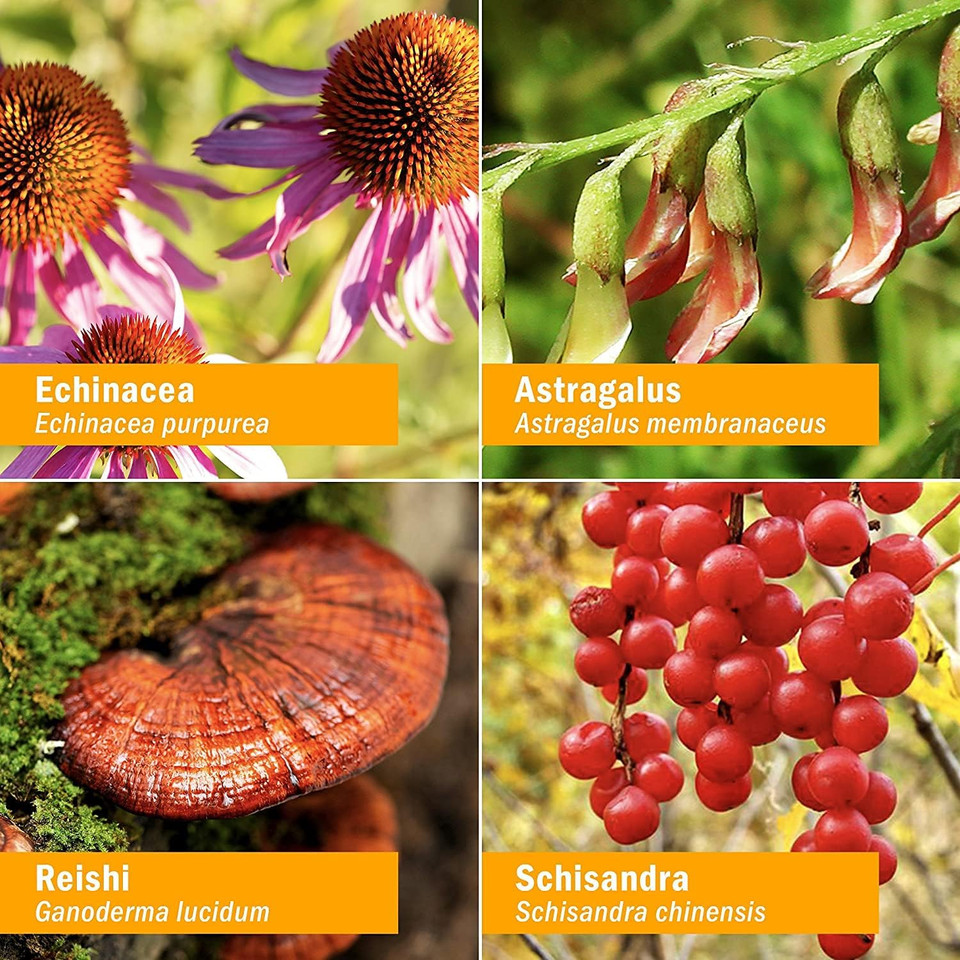 Herb Pharm Daily Immune Builder Herbal Immune System Defense - 2 Ounce2 Fl Oz (Pack Of 1)