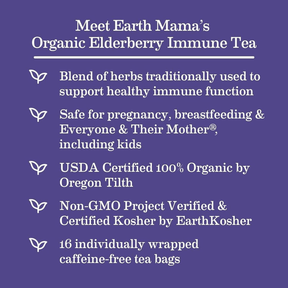 Earth Mama Organic Elderberry Immune Support Tea With Echinacea | Safe For Pregnancy, Breastfeeding, Postpartum, Kids And Family Essentials, Decaf Tea With Ginger & Rooibos, 16-Count16 Count (Pack Of 1)
