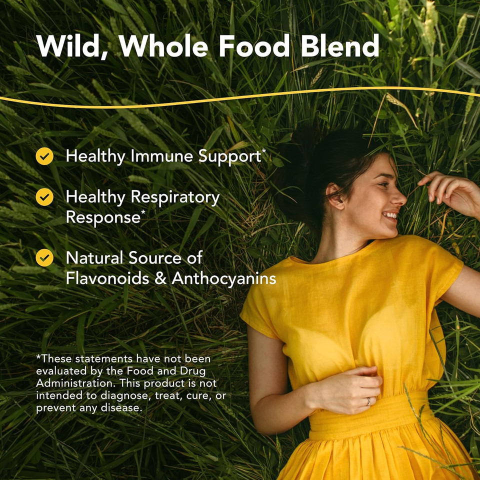 North American Herb & Spice Elder-C - 60 Capsules - Elderberry Concentrate - Immune Support, Healthy Respiratory Response - Contains Oreganol P73 - Non-Gmo, Gluten Free - 30 Servings