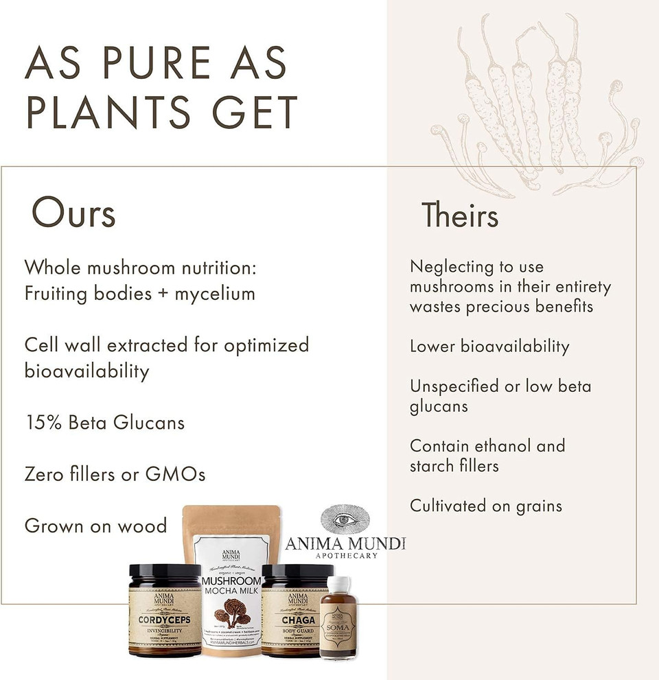 Anima Mundi Chaga Mushroom Powder - Organic Chaga Mushroom Powder - Immune System Support Supplement With Organic Chaga Extract Powder - Great For Tea, Coffee And More - Anima Mundi Supplements (5Oz)