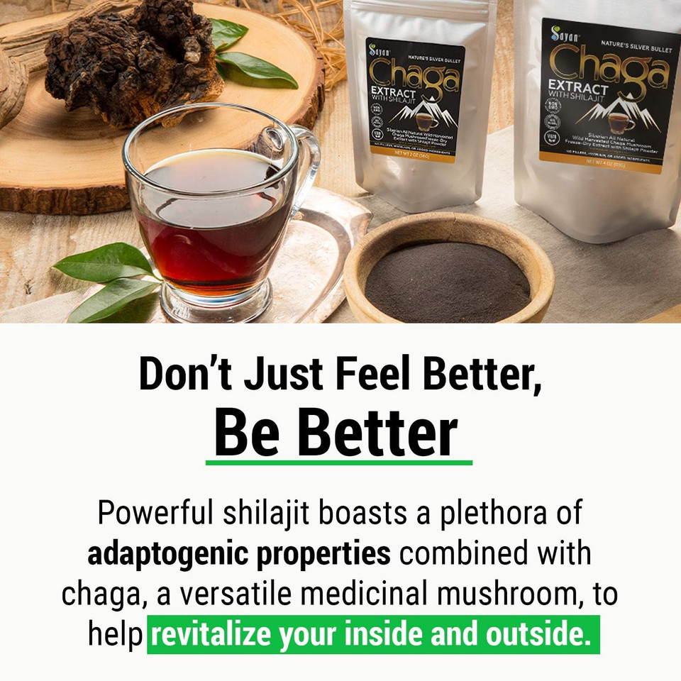 Sayan Siberian Chaga Mushroom Extract With Shilajit Powder 2Oz/56G, A Powerful Antioxidant Fulvic Acid Supplement & Immune System Health Boosterchaga Extract + Shilajit