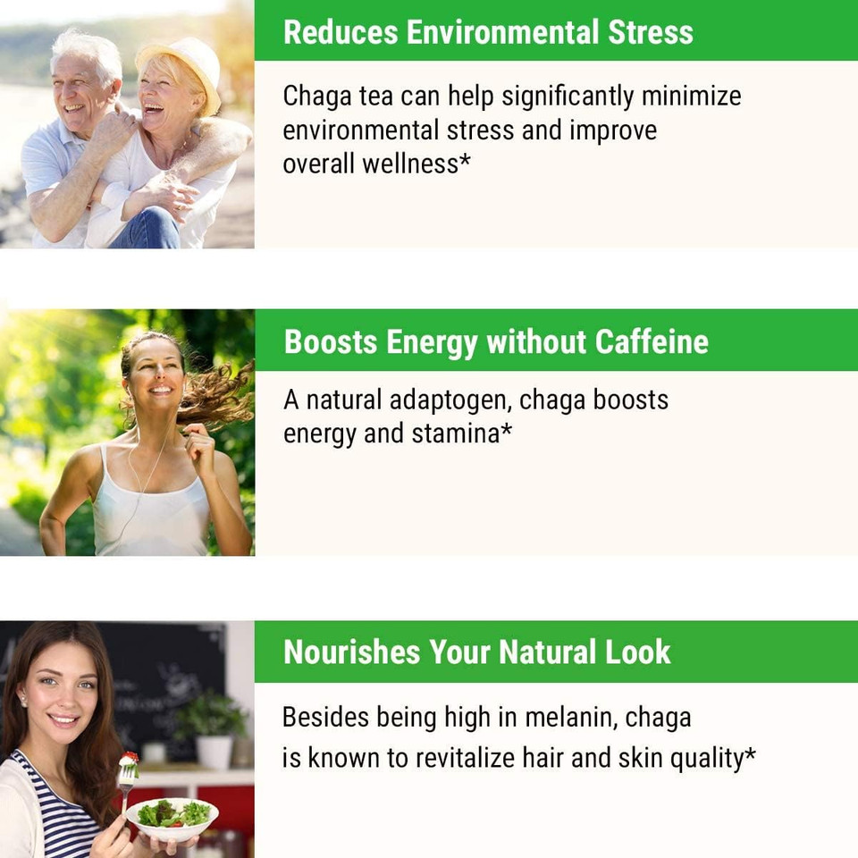 Sayan Siberian Pure Raw Chaga Mushroom Chunks With Black Top Crust 2.2 Lb / 1 Kg  Premium Wild Forest Harvested Super Antioxidant Tea, Supports Immune System And Digestive Health2.2 Pound