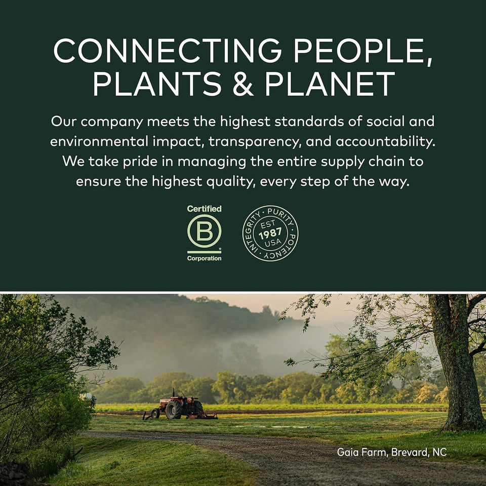 Gaia Herbs Turmeric Boost Restore - Turmeric Drink Mix Supporting A Healthy Response To Swelling In Adults - With Turmeric Curcumin, Black Pepper, Holy Basil & Ginger - 4.3 Ounces (21-Day Supply)