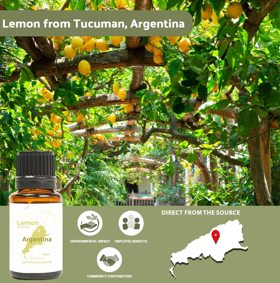 Nature Packaged Lemon Essential Oil - Direct From Our Partner In Argentina - Pure Essential Oil For Diffusers And Aromatherapy | 100% Pure Therapeutic Grade (15Ml)0.50 Fl Oz (Pack Of 1)