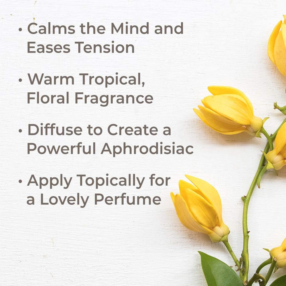 Plant Therapy Ylang Ylang Complete Organic Essential Oil 100% Pure, Undiluted, Natural Aromatherapy, Therapeutic Grade 10 Ml (1/3 Oz)