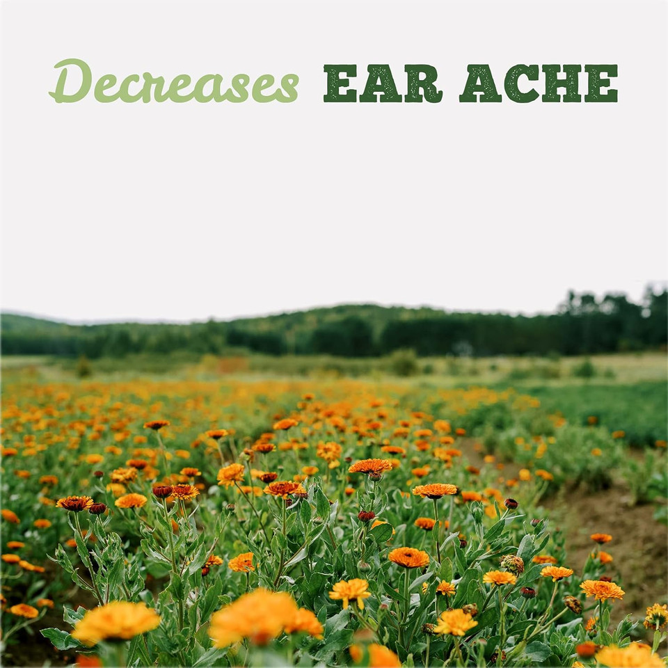 St Francis Herb Farm Organic Ear Oil, 30 Ml