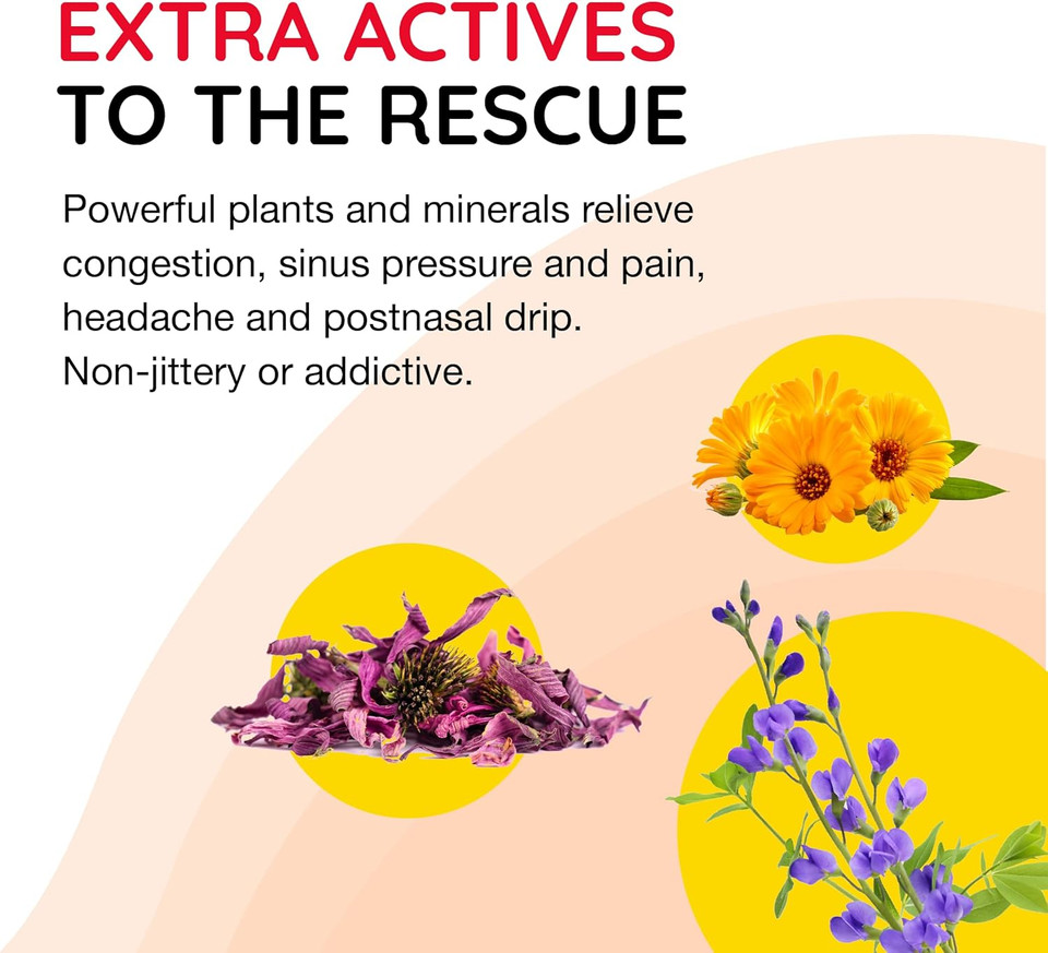 Reboost Breathe Easy Decongestion Nasal Spray Fast-Acting Cold & Flu Symptom Relief Natural Homeopathic Ingredients Help Calm Congestion, Headache & Sinus Pressure - 0.68 Oz