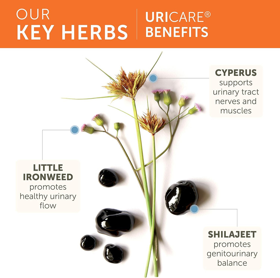 Himalaya Uricare Herbal Supplement, Kidney & Bladder Support, Urinary Tract & Urine Flow Support, Caffeine-Free, Non-Gmo, Gluten Free, Vegetarian, 120 Capsules, 30 Day Supply