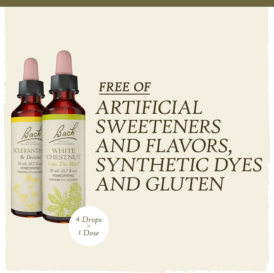 Bach Original Flower Remedies, Clarity Of Mind Kit, For Focus And Mindfulness, Natural Homeopathic Flower Essence, Holistic Wellness, Vegan, 3 X 20Ml Droppers