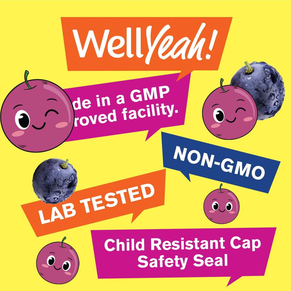 Wellyeah Iron Gummies For Kids With Vitamin C - Anemia Support, Red Blood Cell Formation, Energy, And Immunity Support Gummy, Iron Supplements For Kids - Gmo Free, Natural Grape Flavor - 60 Count