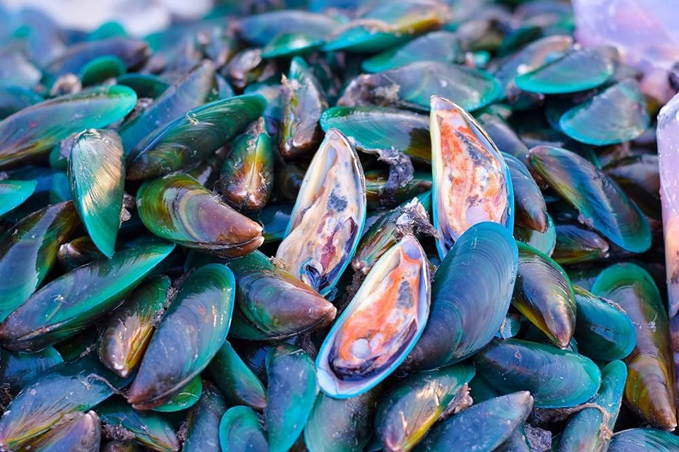 Antler Farms - 100% Pure New Zealand Green Lipped Mussel Oil, Equiv. To 12,500Mg, 120 Softgels - Powerful 125:1 Extract, 2 Month Supply