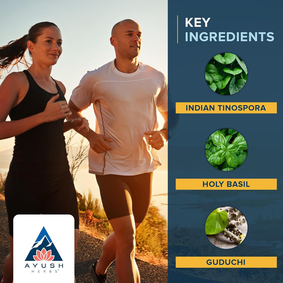 Ayush Herbs Flucomune, Ayurvedic Herbal Blend For Immune And Sinus Support, Natural Amla And Holy Basil Supplement, 90 Vegetarian Capsules Ayush Herbs Flucomune, Ayurvedic Herbal Blend For Immune And Sinus Support, Natural Amla And Holy Basil Supplement, 90 Vegetarian Capsules