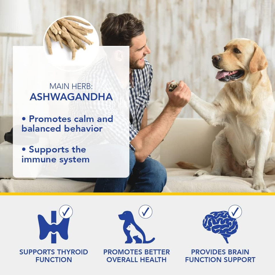 Ayush Pet Stress Support, Ashwagandha Calming Aid For Pets, Promotes Energy And Vitality, 120 Capsules