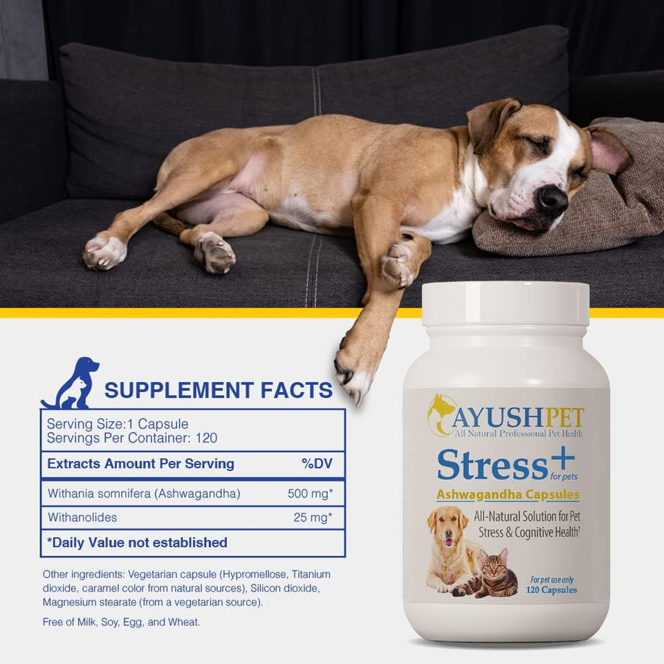 Ayush Pet Stress Support, Ashwagandha Calming Aid For Pets, Promotes Energy And Vitality, 120 Capsules