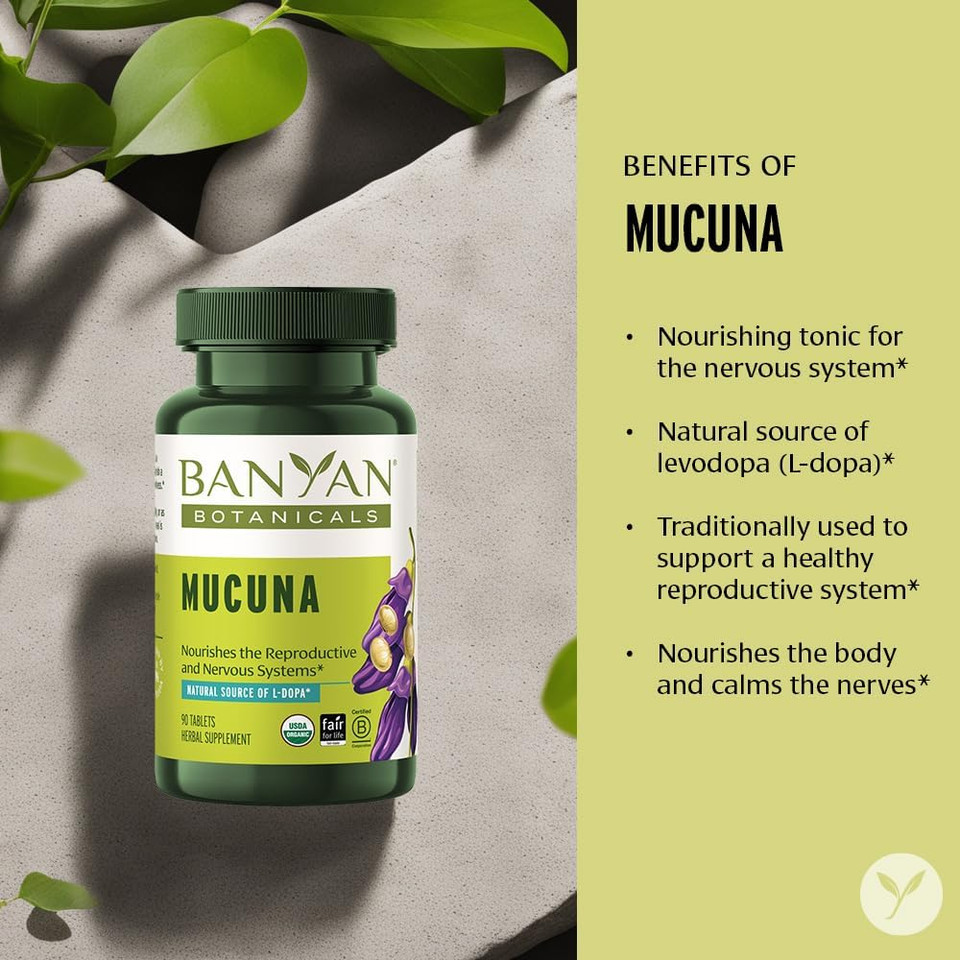 Banyan Botanicals Mucuna Pruriens  Organic Herbal Tablet  Energizing, Supports Healthy Nervous & Reproductive Systems*  Natural Source Of L-Dopa  90 Tablets  Non-Gmo Sustainably Sourced Vegan