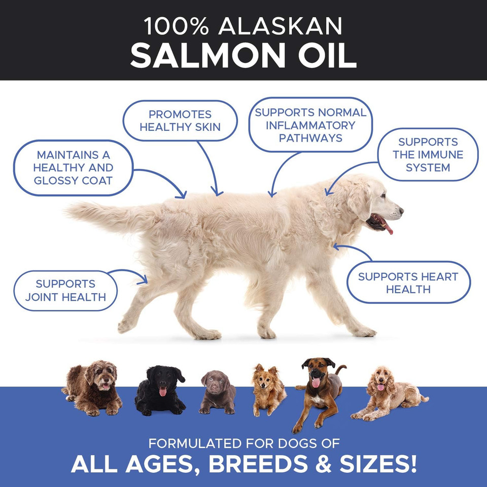 Pethonesty Wild Alaskan Salmon Oil For Dogs + 10 In 1 Dog Multivitamin Bundle - 100% Natural Fish Oil With Omega3S, Helps With Sensitive Skin And Normal Shedding - Supports Joints, Brain & Heart Healt