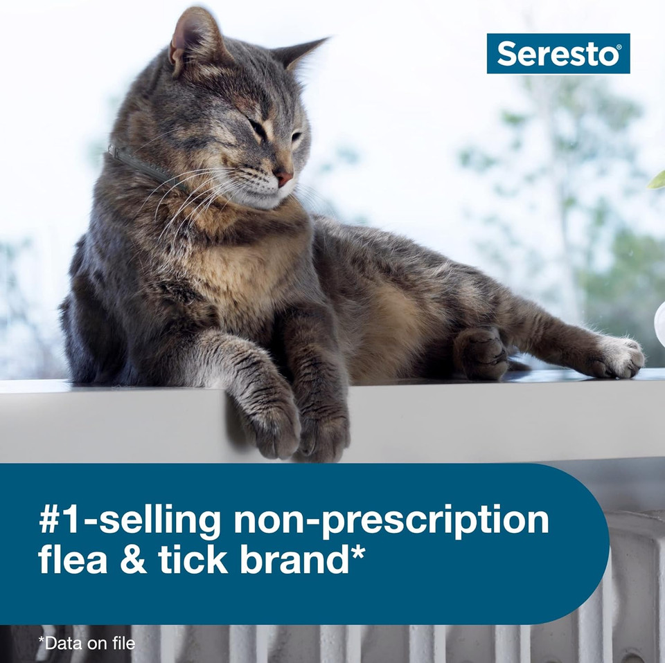 Seresto Cat Vet-Recommended Flea & Tick Treatment & Prevention Collar For Cats, 8 Months Protection | 2-Pack2 Pack