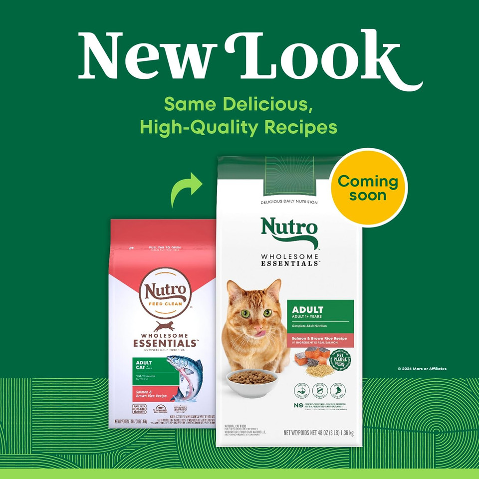 Nutro Wholesome Essentials Adult Natural Dry Cat Food Salmon & Brown Rice Recipe, 3 Lb. Bag