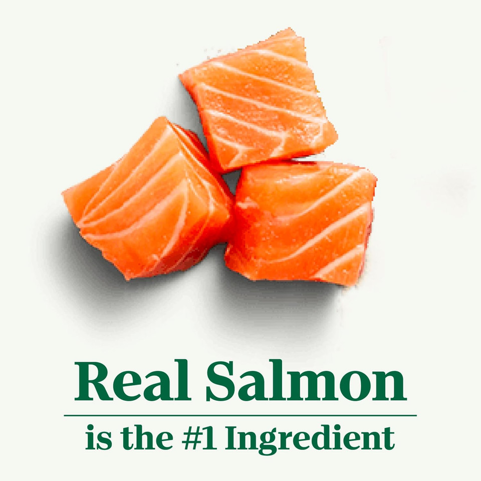Nutro Wholesome Essentials Adult Natural Dry Cat Food Salmon & Brown Rice Recipe, 3 Lb. Bag