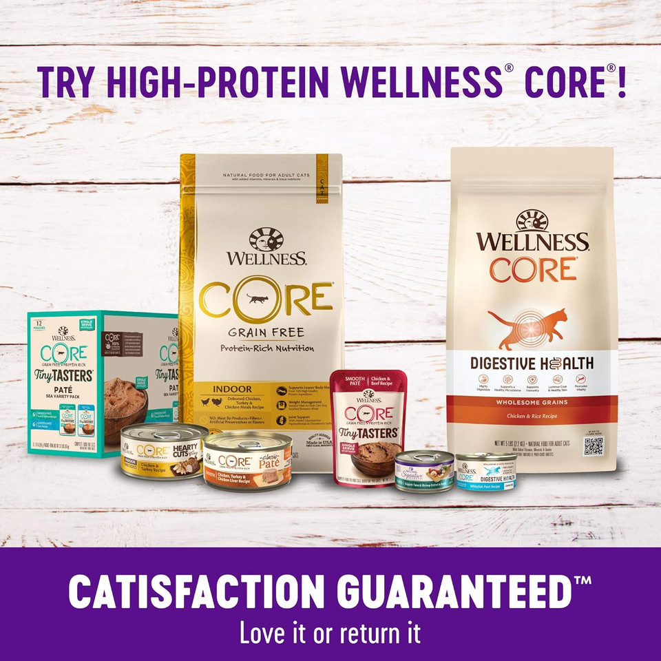 Wellness Complete Health Natural Hairball Control Chicken Meal & Rice Recipe Dry Cat Food, 5 Pound Bag