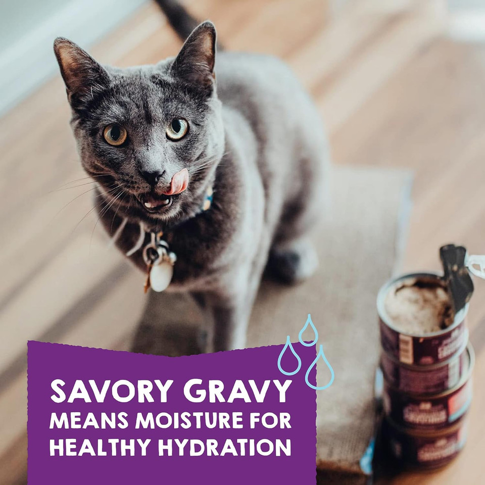 Stella & Chewyã¢ÂS Carnivore Cravings Purrfect Pate Canned Wet Cat Food Variety Pack ÃÂ (2.8 Ounce Cans, Case Of 12)Purple