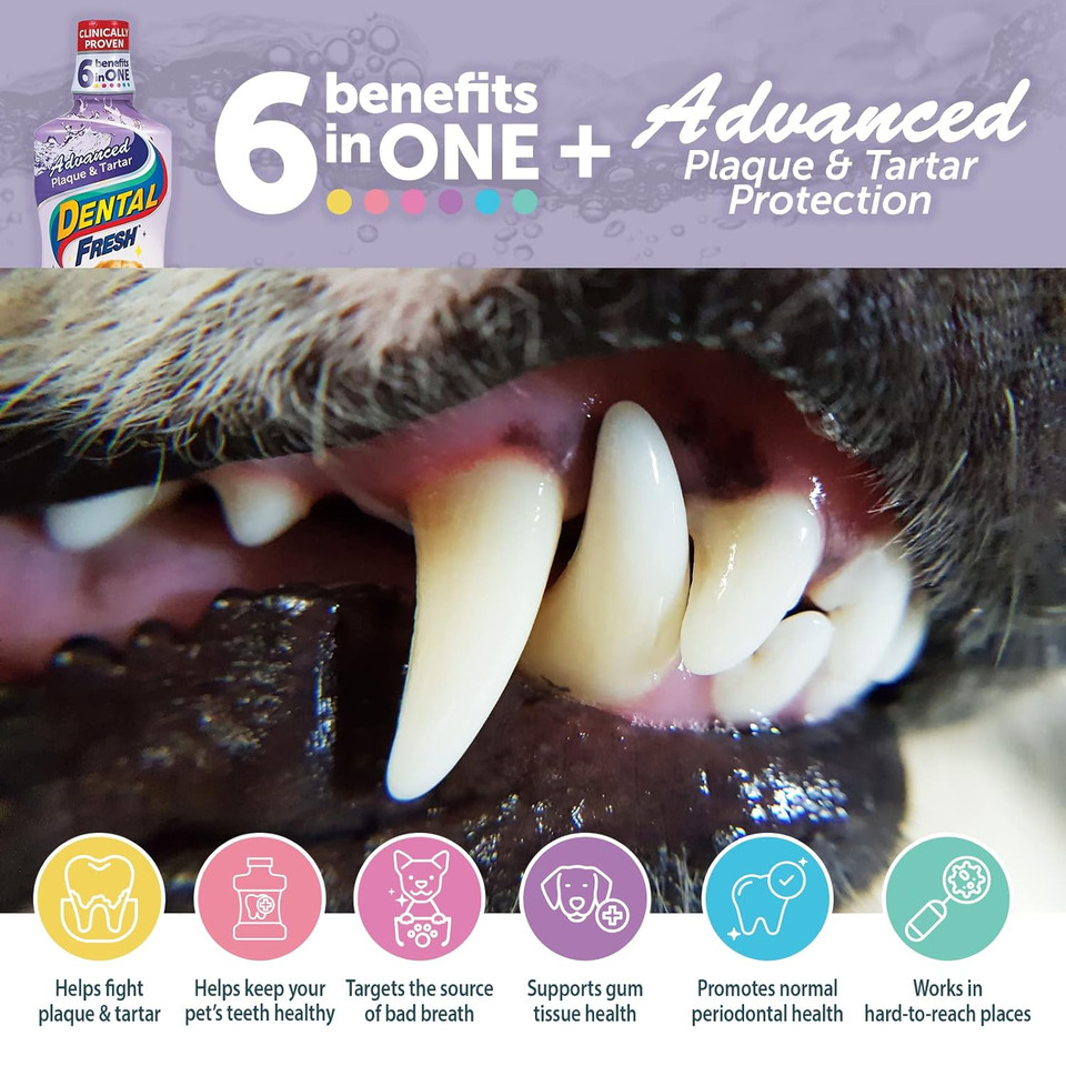 Dental Fresh Advanced Plaque And Tartar Water Additive, 8Oz  Dog Teeth Cleaning Formula To Freshen Breath And Improve Overall Oral Health Dental Fresh Advanced Plaque And Tartar Water Additive, 8Oz  Dog Teeth Cleaning Formula To Freshen Breath And Improve Overall Oral Health