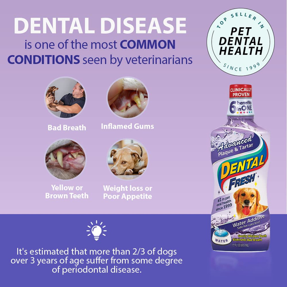 Dental Fresh Advanced Plaque And Tartar Water Additive, 8Oz  Dog Teeth Cleaning Formula To Freshen Breath And Improve Overall Oral Health Dental Fresh Advanced Plaque And Tartar Water Additive, 8Oz  Dog Teeth Cleaning Formula To Freshen Breath And Improve Overall Oral Health